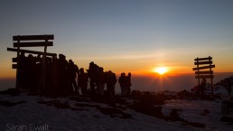 Kilimanjaro sunrise